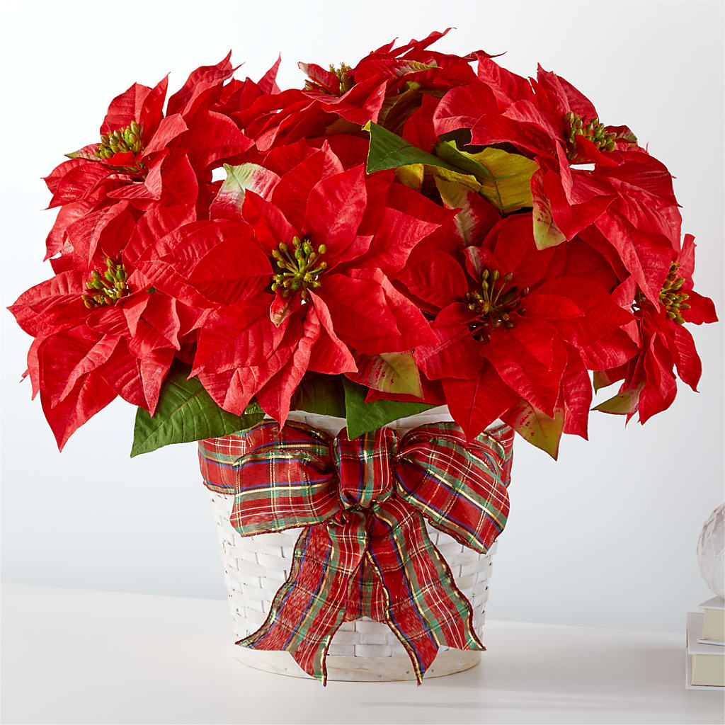 Happiest Holidays Poinsettia – Lemon Tree Florist, Kemp TX