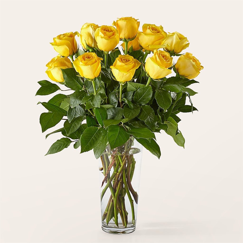 Long Stem Yellow Rose Bouquet – Lemon Tree Florist, Kemp TX