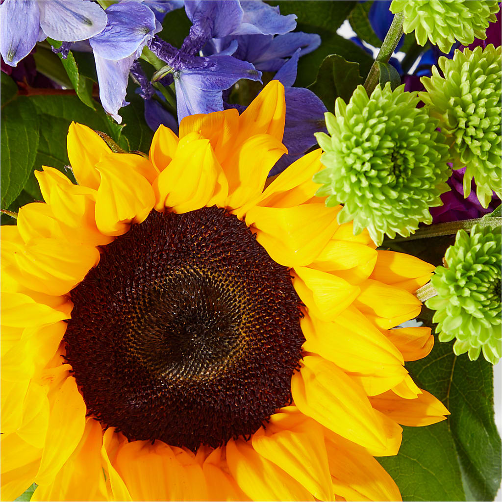 Catching Rays Bouquet – Lemon Tree Florist, Kemp TX