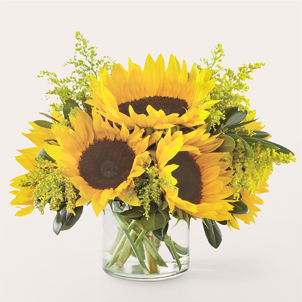 Beaming Sunflower Bouquet – Lemon Tree Florist, Kemp TX
