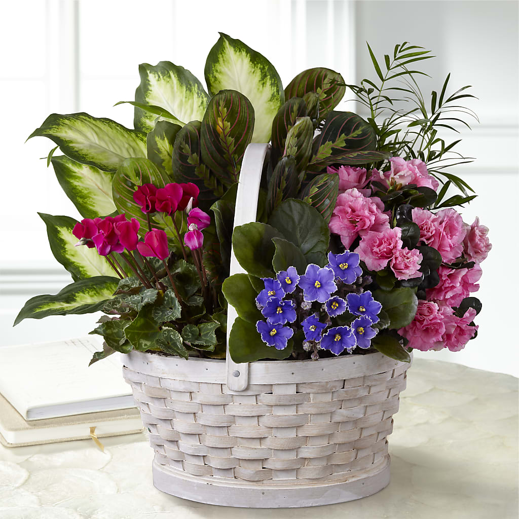 Peaceful Garden Planter – Lemon Tree Florist, Kemp TX