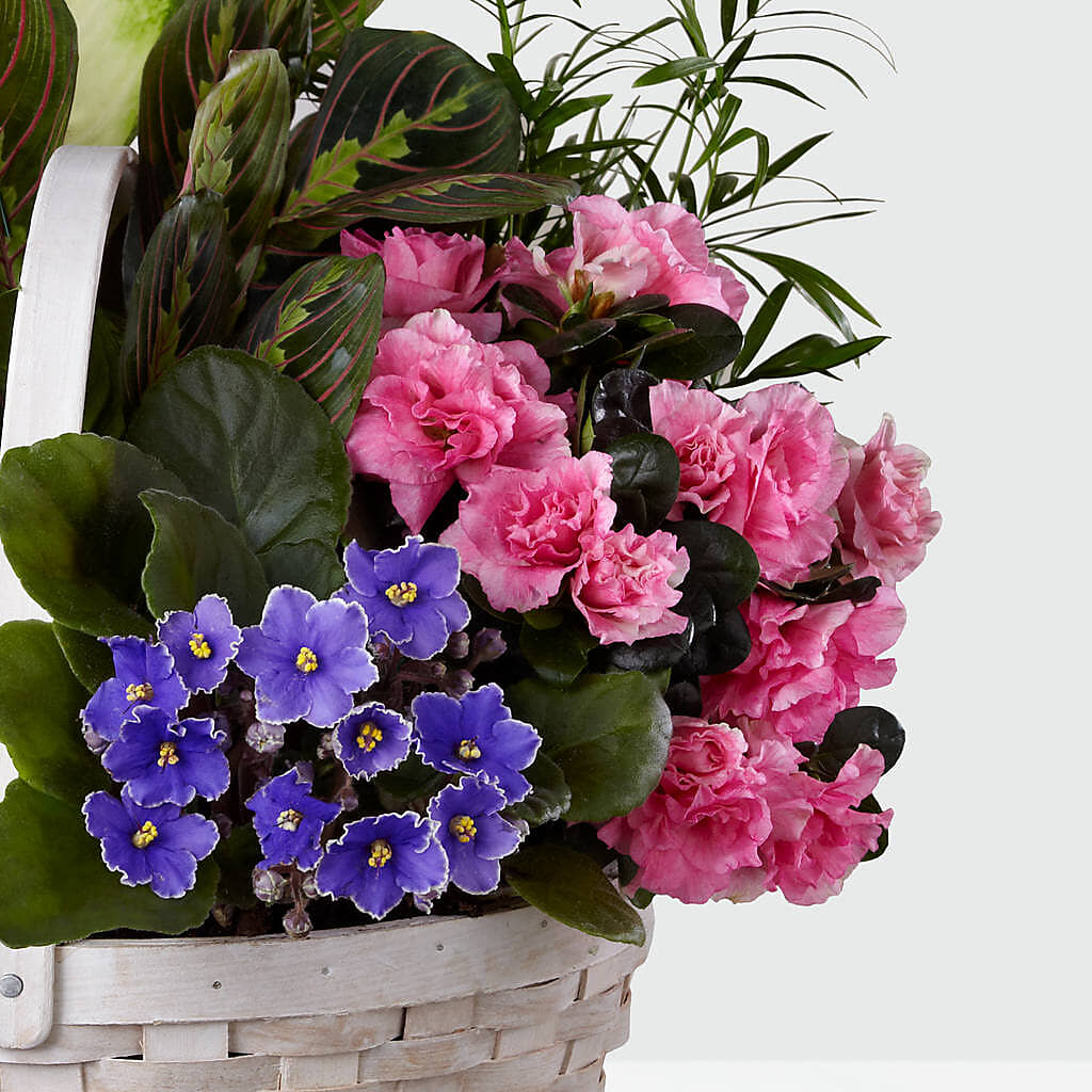 Peaceful Garden Planter – Lemon Tree Florist, Kemp TX