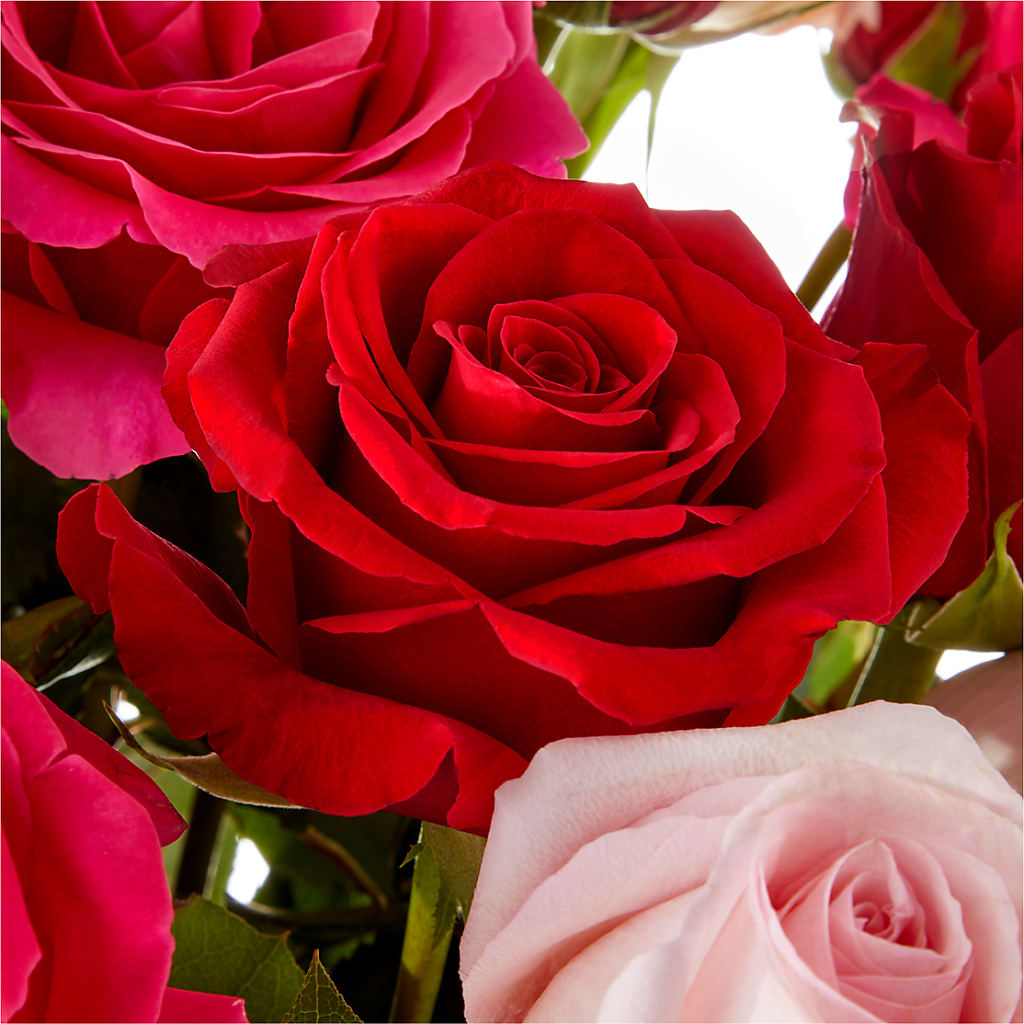 Love Notes Rose Bouquet – Lemon Tree Florist, Kemp TX