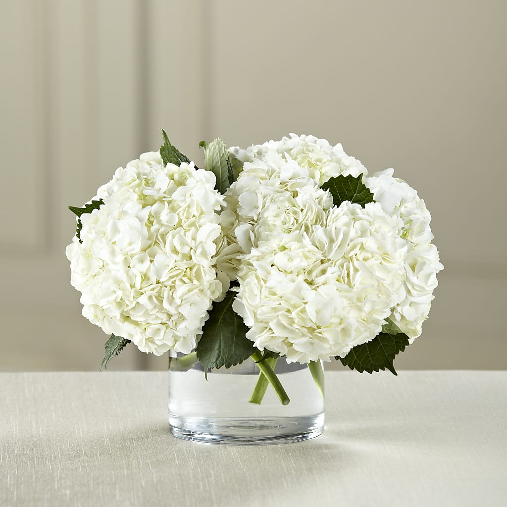 White Hydrangea Bouquet – Lemon Tree Florist, Kemp TX