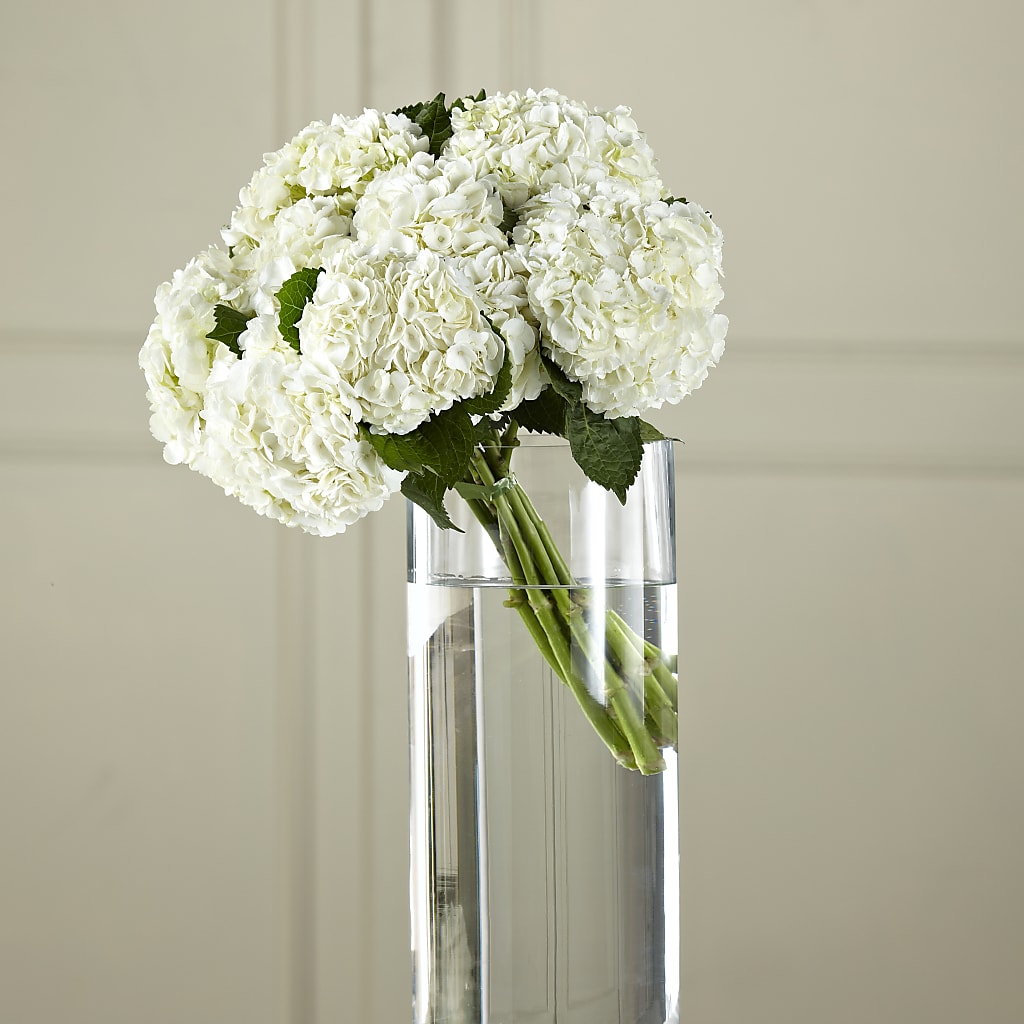 White Hydrangea Hand-Tied Bouquet – Lemon Tree Florist, Kemp TX
