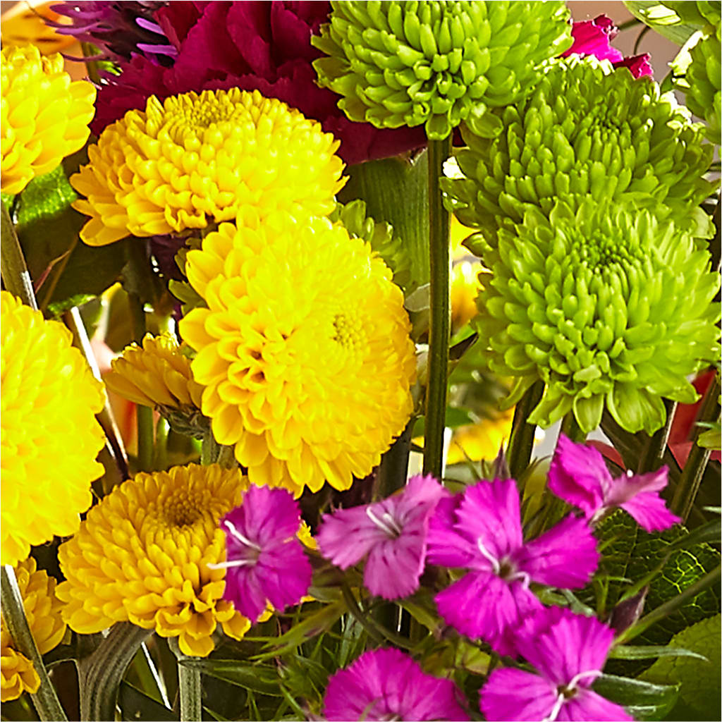 Bold & Bright – A Florist Original –  Lemon Tree Florist, Kemp TX