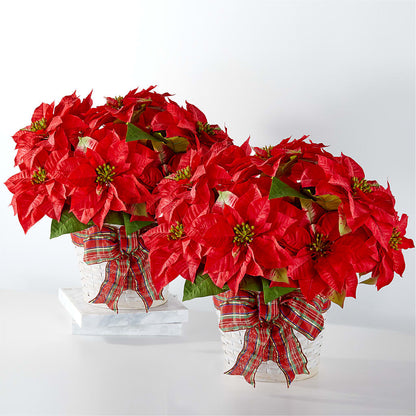 Happiest Holidays Poinsettia Bundle –  Lemon Tree Florist, Kemp TX