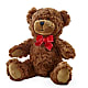 Adorable Plush Bear –  Lemon Tree Florist, Kemp TX