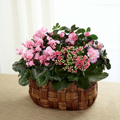 Pink Assortment –  Lemon Tree Florist, Kemp TX