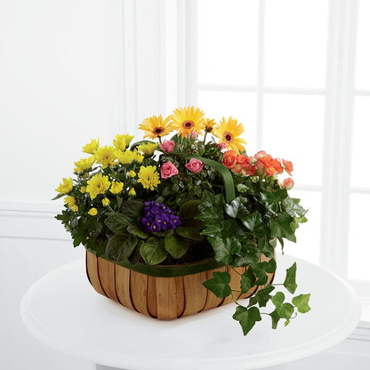 Gentle Blossoms Basket –  Lemon Tree Florist, Kemp TX