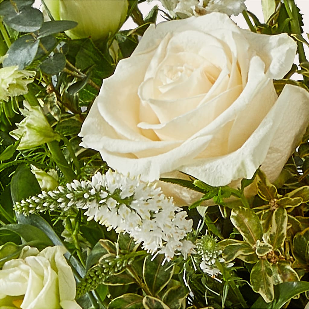Cashmere Bouquet –  Lemon Tree Florist, Kemp TX