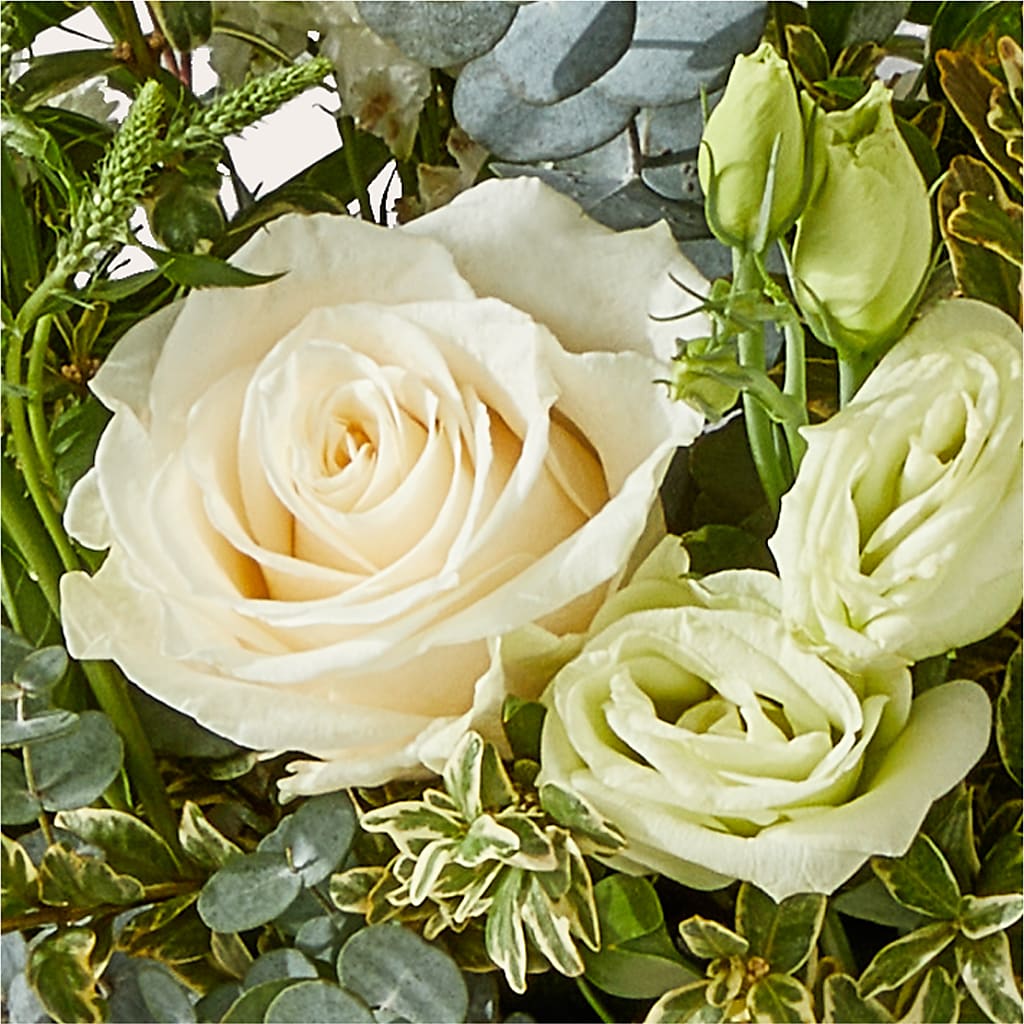 Cashmere Bouquet –  Lemon Tree Florist, Kemp TX
