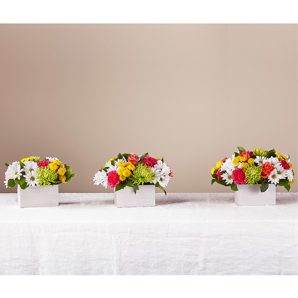 Sorbet Bouquet –  Lemon Tree Florist, Kemp TX