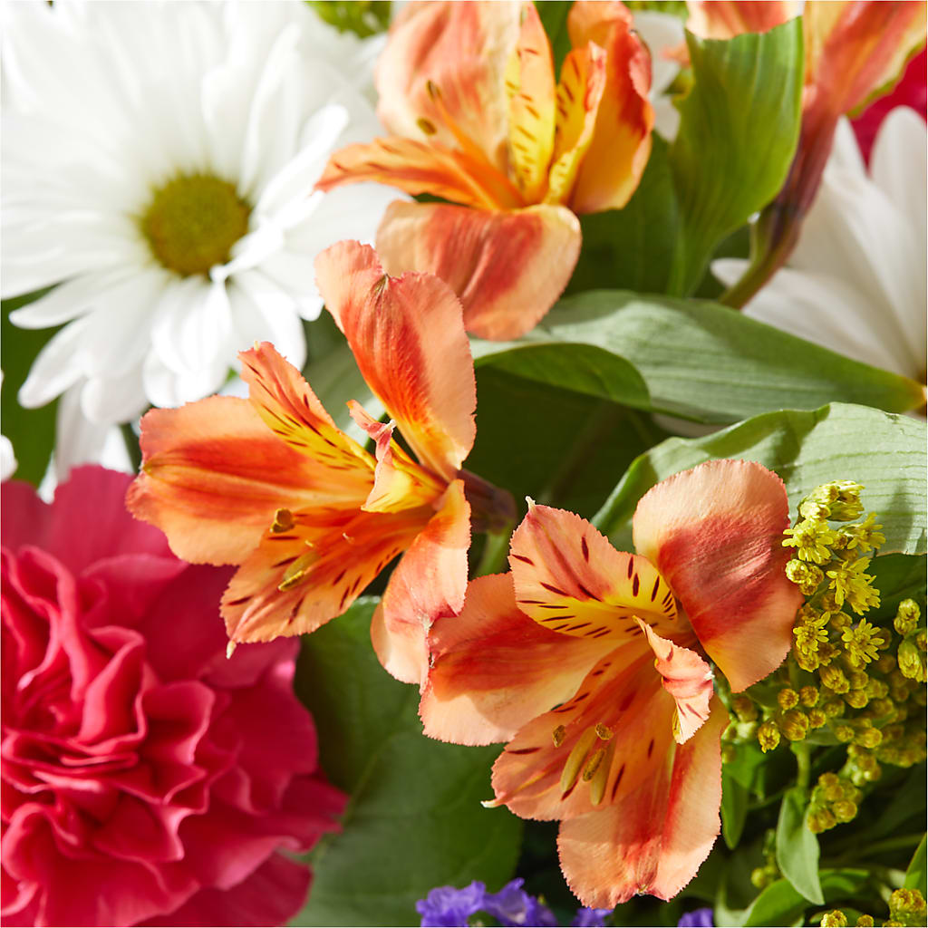 Oopsie Daisy Box Bouquet –  Lemon Tree Florist, Kemp TX