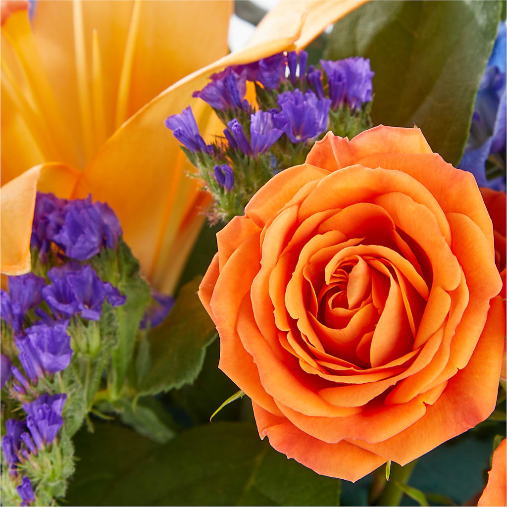 Radiant Citrus Box Bouquet –  Lemon Tree Florist, Kemp TX