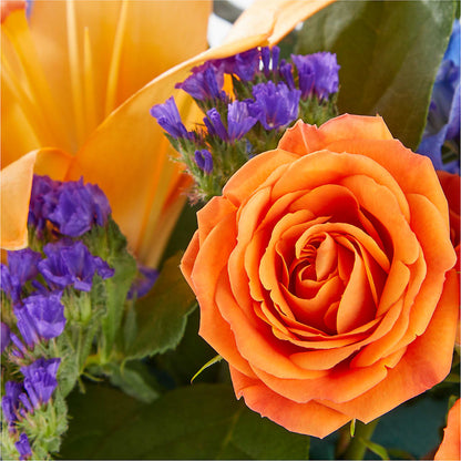 Radiant Citrus Box Bouquet –  Lemon Tree Florist, Kemp TX