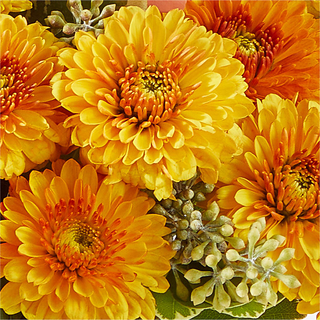 Peachy Pumpkin –  Lemon Tree Florist, Kemp TX