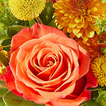 Gourdgeous Pumpkin –  Lemon Tree Florist, Kemp TX