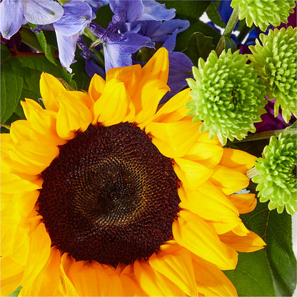 Catching Rays Bouquet –  Lemon Tree Florist, Kemp TX