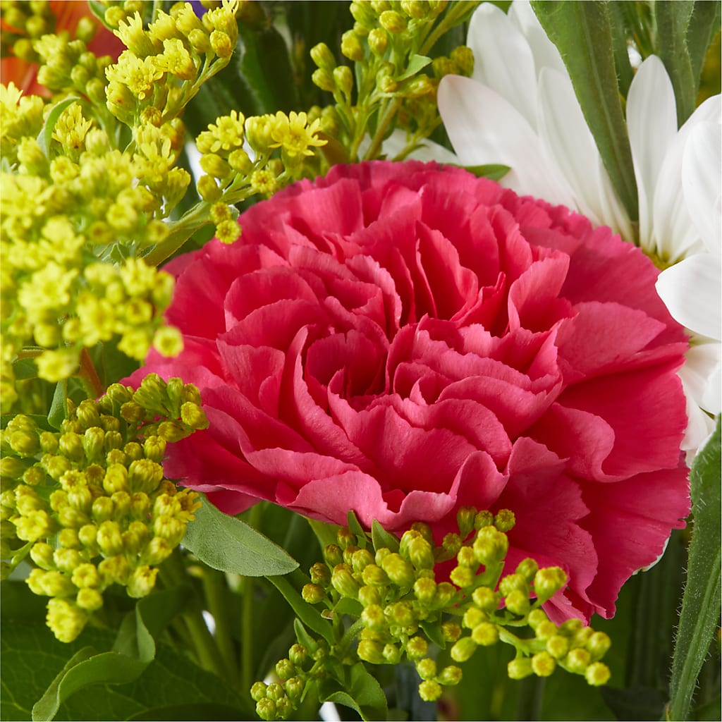 Oopsie Daisy Bouquet –  Lemon Tree Florist, Kemp TX