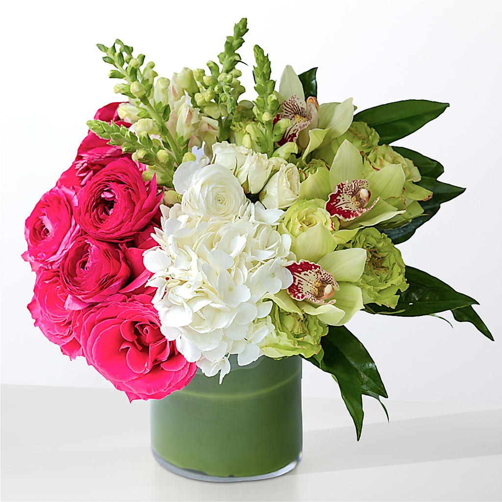 The Oasis