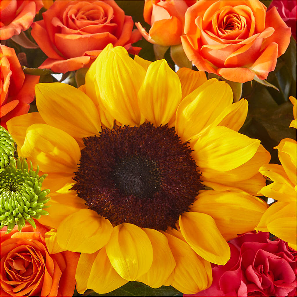 Sun-drenched Blooms Box Bouquet –  Lemon Tree Florist, Kemp TX