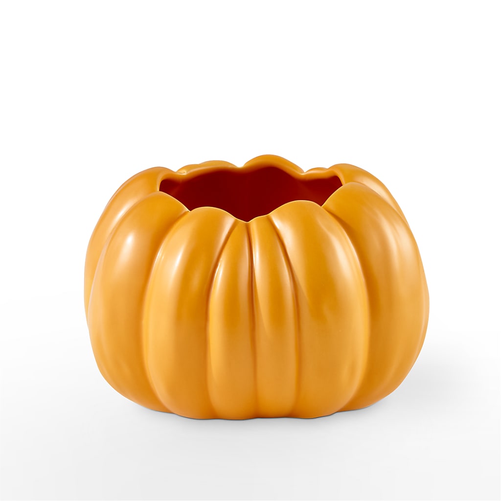 Pick of the Patch Pumpkin Bouquet –  Lemon Tree Florist, Kemp TX