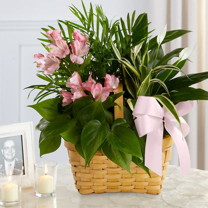 Living Spirit Dishgarden –  Lemon Tree Florist, Kemp TX