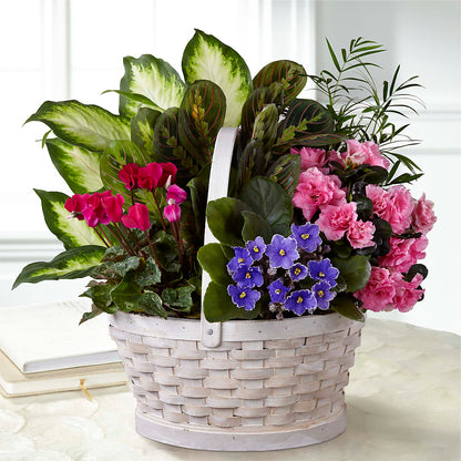 Peaceful Garden Planter –  Lemon Tree Florist, Kemp TX