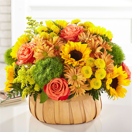 Harvest Sunflower Basket –  Lemon Tree Florist, Kemp TX