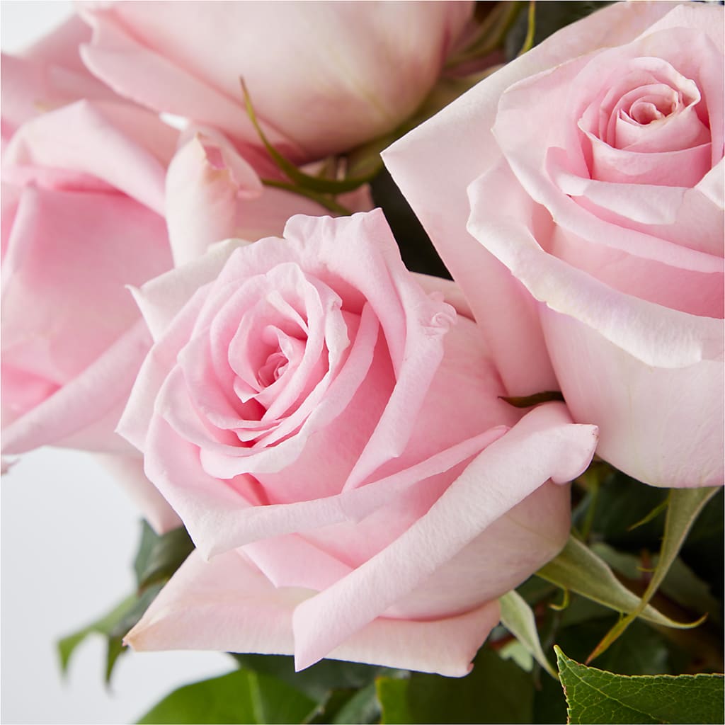 Picture Perfect Pink Rose Bouquet –  Lemon Tree Florist, Kemp TX