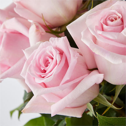 Picture Perfect Pink Rose Bouquet –  Lemon Tree Florist, Kemp TX