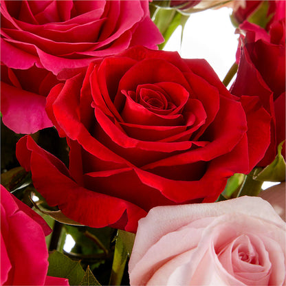 Love Notes Rose Bouquet –  Lemon Tree Florist, Kemp TX