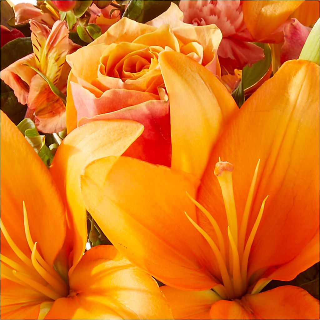 Afternoon Light Bouquet –  Lemon Tree Florist, Kemp TX