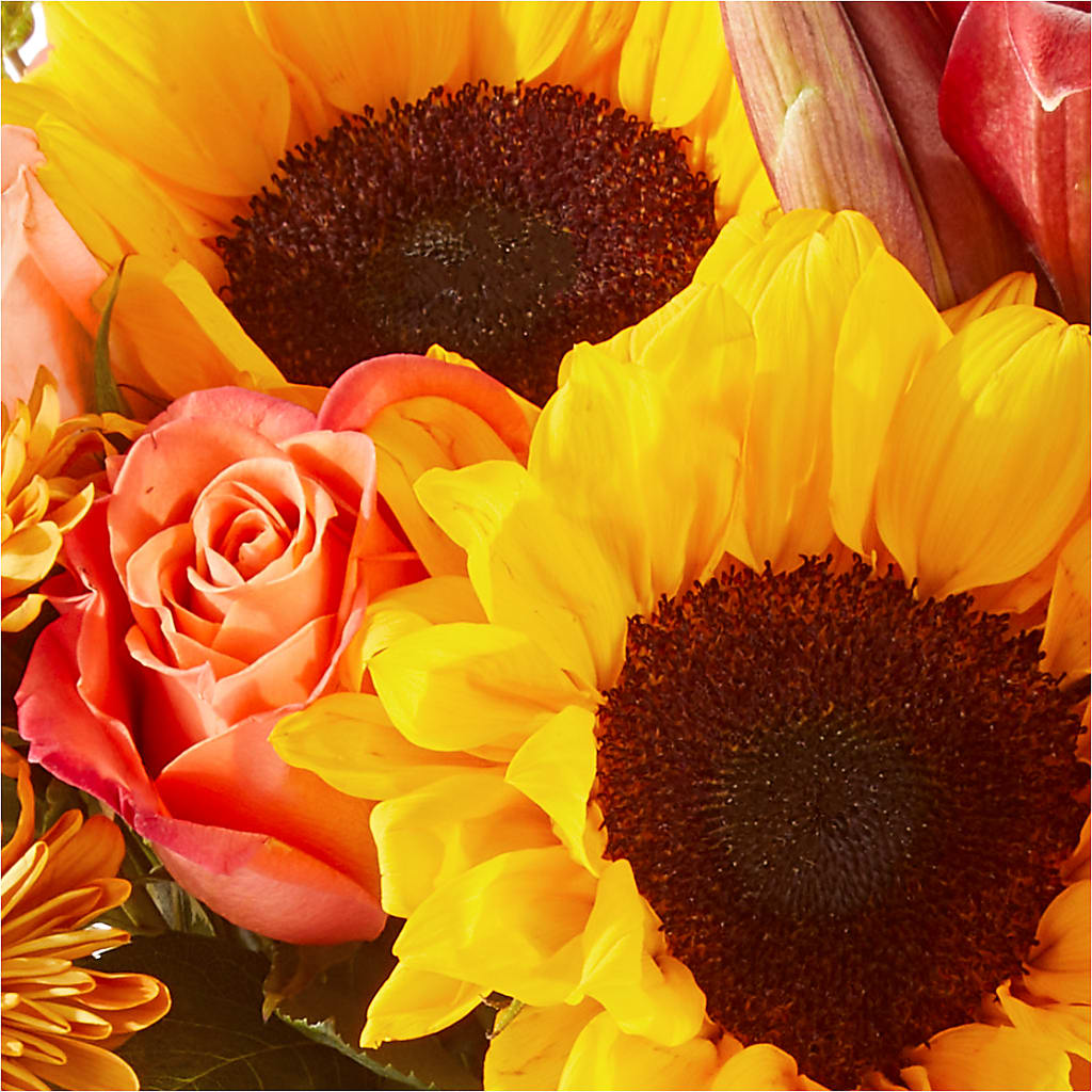 Acorn Lane Bouquet –  Lemon Tree Florist, Kemp TX