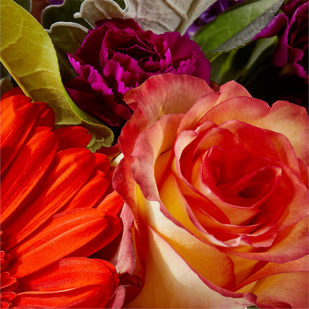 Sangria Bouquet –  Lemon Tree Florist, Kemp TX