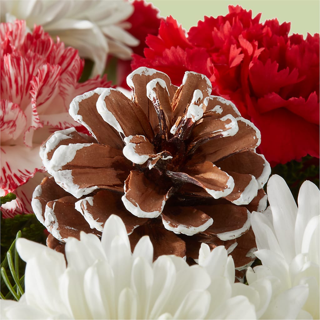 Candy Cane Lane Bouquet –  Lemon Tree Florist, Kemp TX