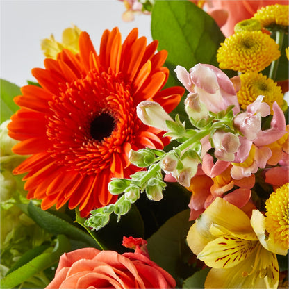 Autumn Sunshine Bouquet –  Lemon Tree Florist, Kemp TX