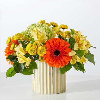 Autumn Sunshine Bouquet with Ivory Vase –  Lemon Tree Florist, Kemp TX