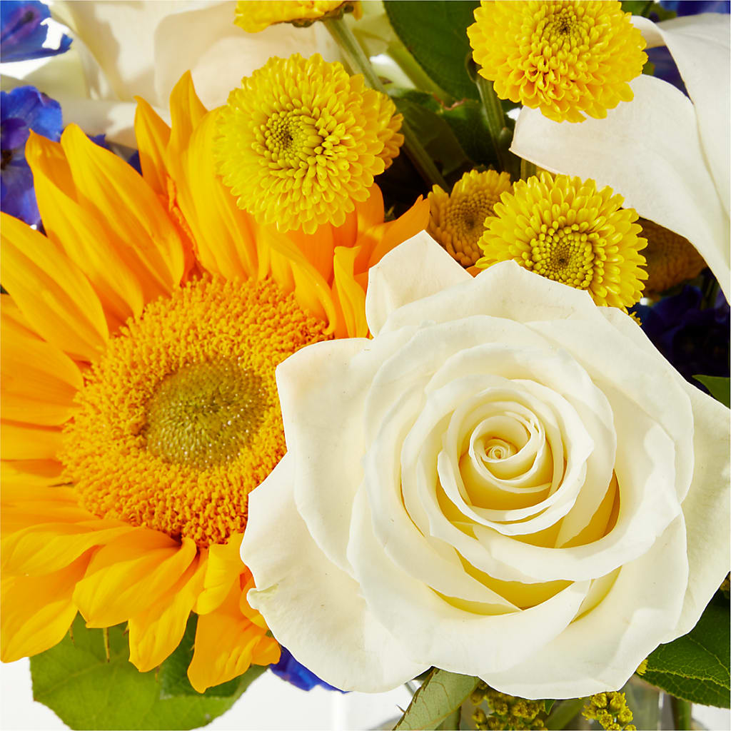 Stargazing Bouquet –  Lemon Tree Florist, Kemp TX