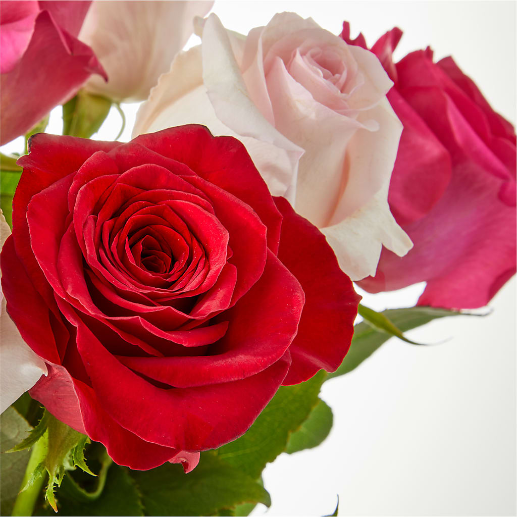 Charming Rose Bouquet –  Lemon Tree Florist, Kemp TX