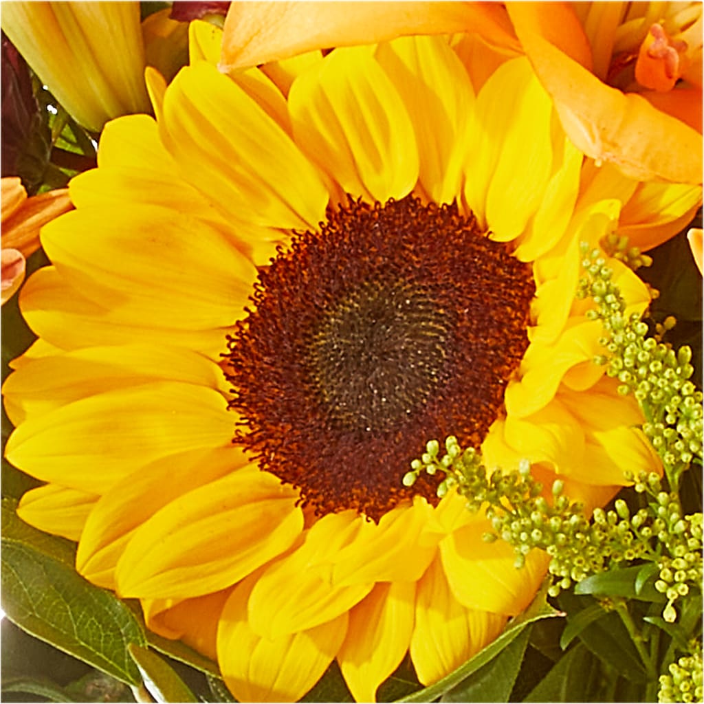 Seasons Change Bouquet –  Lemon Tree Florist, Kemp TX