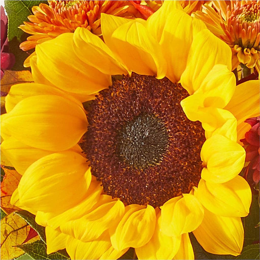 Sunny Side Bouquet –  Lemon Tree Florist, Kemp TX