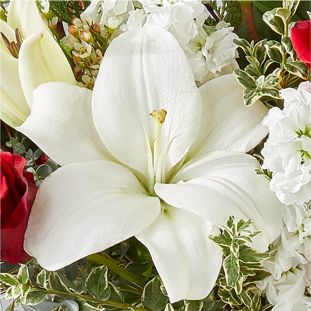 Twinkle Lights Bouquet –  Lemon Tree Florist, Kemp TX