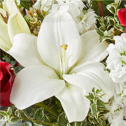 Twinkle Lights Bouquet –  Lemon Tree Florist, Kemp TX