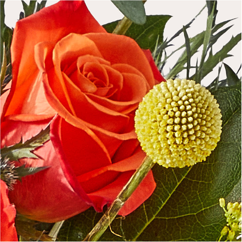 Disco Bouquet –  Lemon Tree Florist, Kemp TX