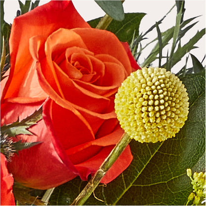 Disco Bouquet –  Lemon Tree Florist, Kemp TX