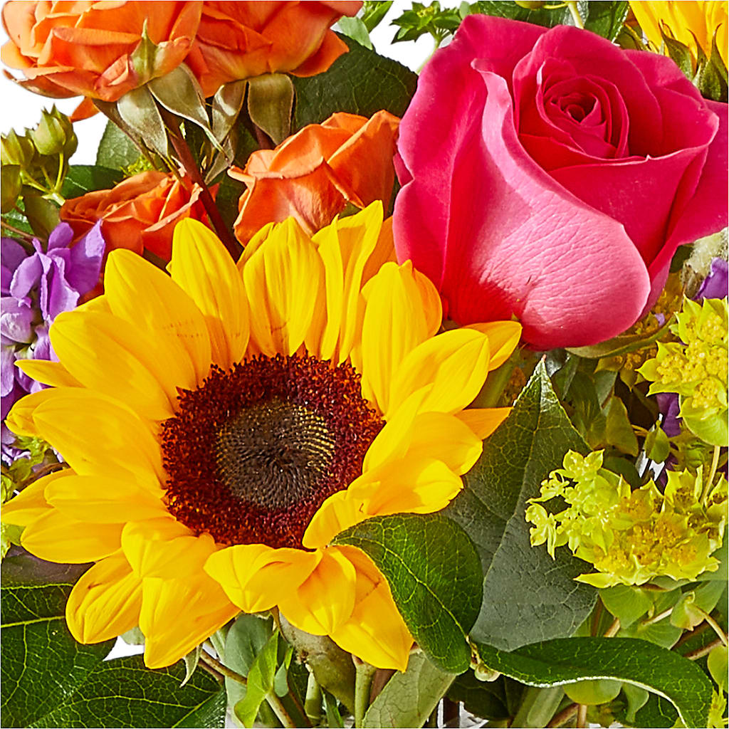 Vibrant Greetings Bouquet –  Lemon Tree Florist, Kemp TX