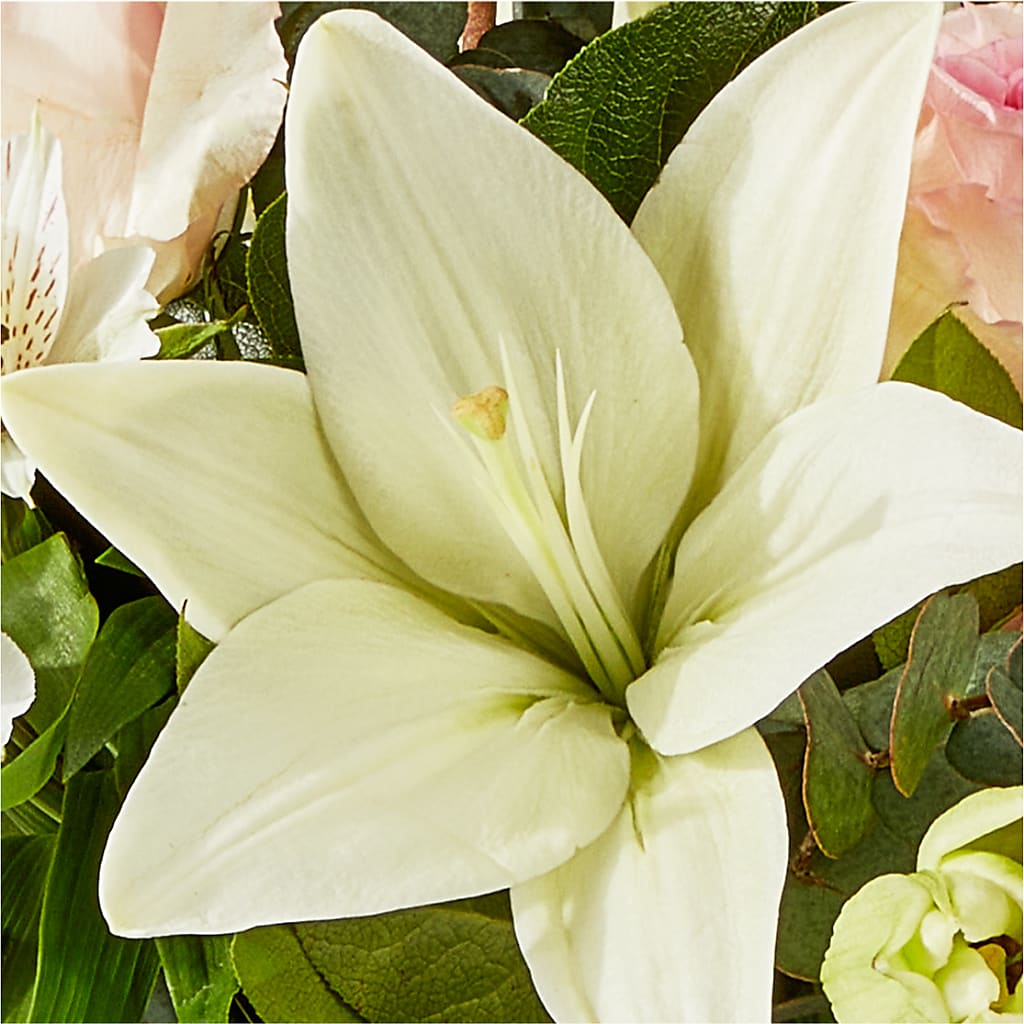 Ballet Slippers Bouquet –  Lemon Tree Florist, Kemp TX