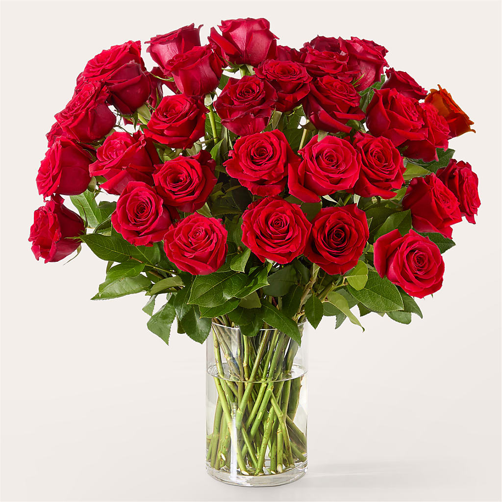 The One Red Rose Bouquet –  Lemon Tree Florist, Kemp TX